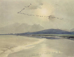 Load image into Gallery viewer, Untitled - Birds in Flight
