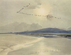 Untitled - Birds in Flight