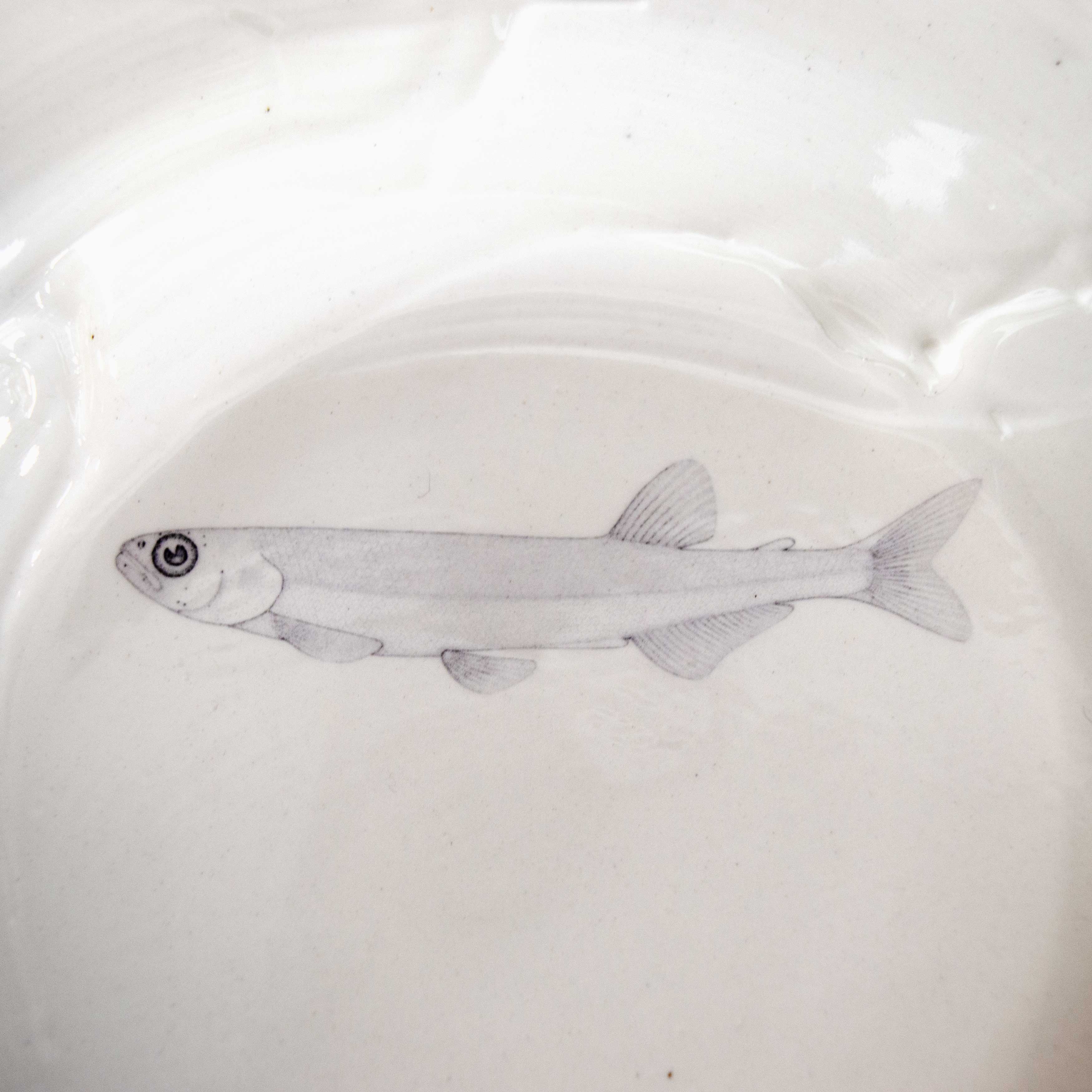 Fish Plate - Porcelain
