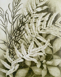 Load image into Gallery viewer, DETAIL: Audrey Bascand - Ferns V
