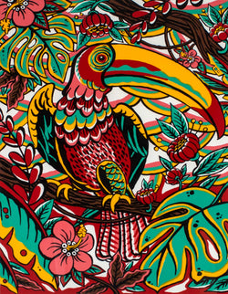 Load image into Gallery viewer, DETAIL: Ben Raddatz - Toucan
