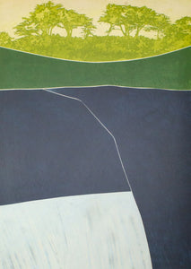 DETAIL: Bonnie Quirk - Spring Over Burnt Hill (Blue State)