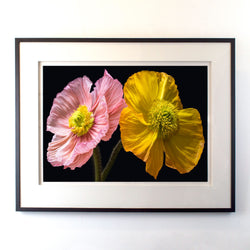 Load image into Gallery viewer, Julie Battisti - Poppies I
