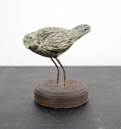 Load image into Gallery viewer, Juliet Novena-Sorrel - Little Bird I
