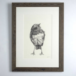 Load image into Gallery viewer, Untitled (Robin)
