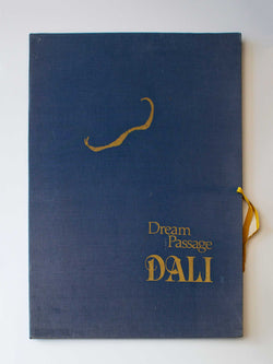 Load image into Gallery viewer, DETAIL: Salvador Dali - Dream Passage
