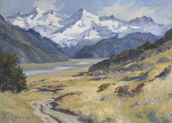 Load image into Gallery viewer, Untitled (North Canterbury)
